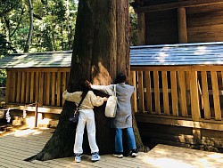 萬物皆由能量與頻率組成，鹿島神宮作為金、木、水、火、土元素的象徵，將為您提供一場身心靈的洗禮。